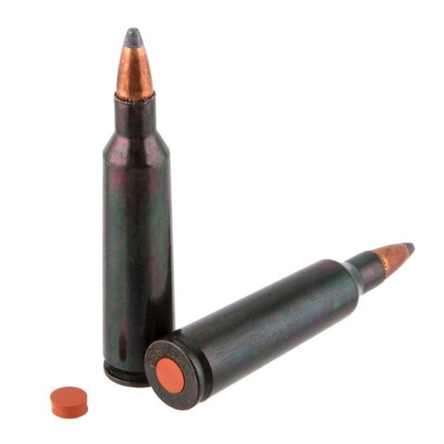 Picture of Traditions Rifle Training Cartridge 22-250 Rem (2 Ct)