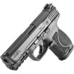 Picture of M&P40 M2.0 Compact 40 S&W 4” Bbl (2)13Rd Black No Safety
