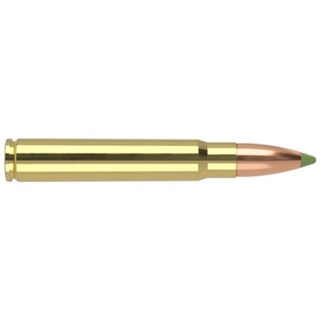 Picture of Nosler Ammo 9.3X62 250Gr E-Tip (20 Ct.)