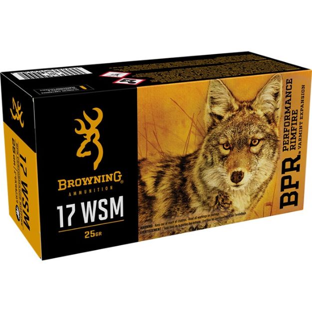 Picture of Bpr 17 Winchester Super Magnum 25Gr Polymer Tip 50/Box