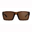 Picture of Explorer Xl Tortoise Frame Bronze Lens