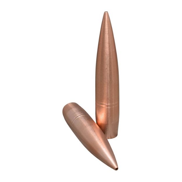 Picture of 375 Caliber (0.375'') 300Gr Copper Hollow Point 50/Box