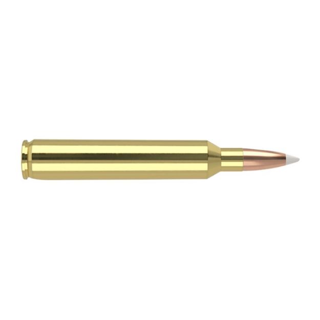 Picture of 7Mm Rum 160Gr Accubond Spitzer 20/Box