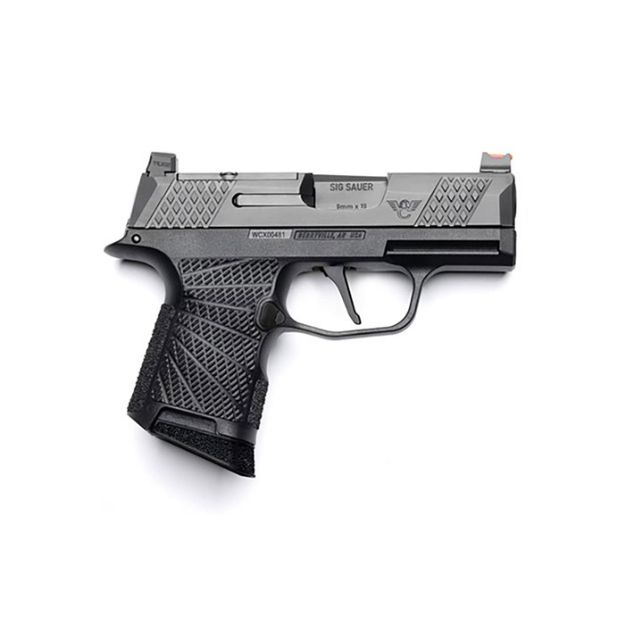 Picture of Wcp365 9Mm Luger 3.1'' Bbl (2)10Rd Mags Rmrcc Plate Black