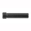 Picture of Sig Sauer 320 Safety Lever Pin