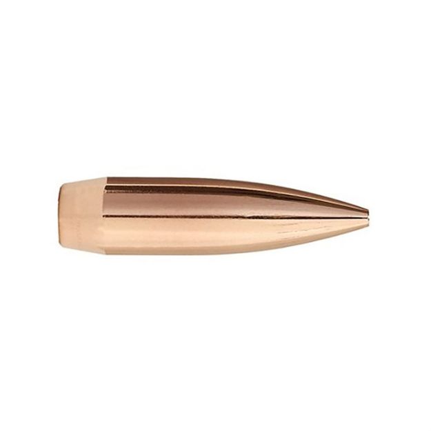 Picture of 303 Caliber (0.311'') 174Gr Hollow Point Boat Tail 500/Box