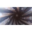 Picture of Lyman Borecam 2.0 Wireless Digital Borescope
