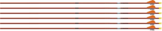 Picture of Easton Arrow Fmj 5Mm 340 W/ 2" Bully Vanes 6-Pack Autumn Org