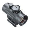 Picture of Propoint 1X30 3Moa Hi/Low Mnt
