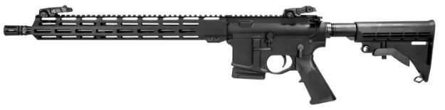 Picture of Rd15 300Blk 16" Blk 10+1 Ca