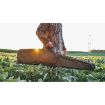 Picture of EVODS 54" HILL COUNTRY II RIFLE CASE