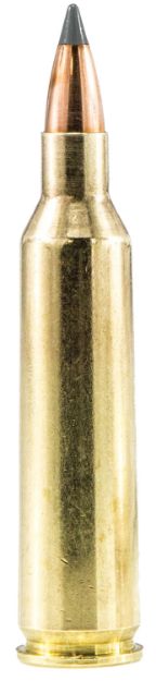 Picture of Sig Ammo 223 Rem 40Gr Predator 20Rd 10Bx/Cs