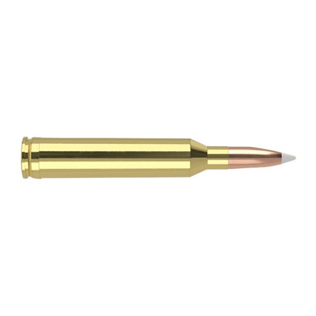 Picture of Nosler Trophy Grade 264 Win Mag 130Gr Accubond 20Rd 10Bx/C
