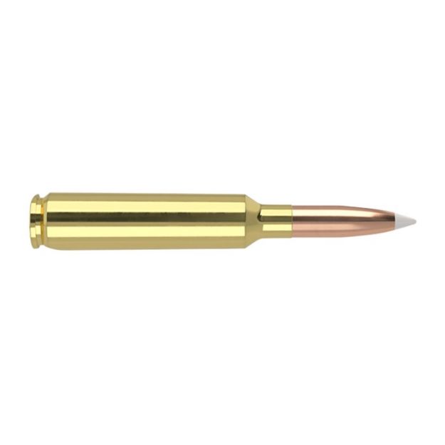 Picture of Nosler Trophy 6.5X284 Norma 140Gr Accubond 20Rd 10Bx/Cs