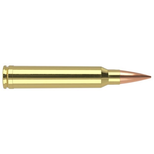 Picture of Nosler Match 300 Win Mag 210Gr Reduced Drag Hpbt 20Rd 10Bx/Cs