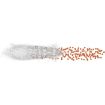 Picture of Winchester Long Beard Xr 12Ga 3" 1-3/4Oz #6 10Rd 10Bx/Cs