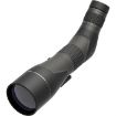 Picture of Sx-2 Alpine Gen2 20-60X80 Angl