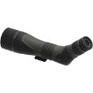 Picture of Sx-2 Alpine Gen2 20-60X80 Angl