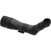 Picture of Sx-2 Alpine Gen2 20-60X80 Angl