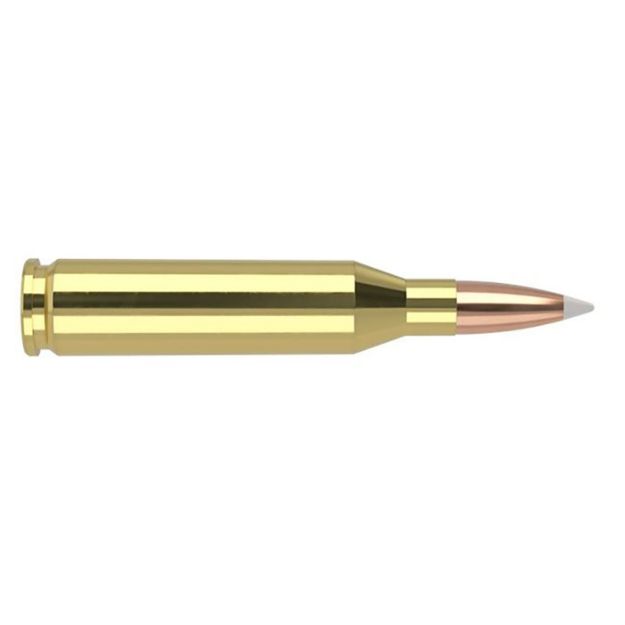 Picture of NOSLER TG 243WIN 100GR PT 20/200