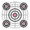 Picture of CHAMPION 100YD RFL SIGHT-IN TRGT 12P
