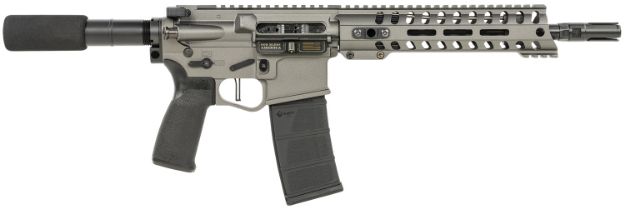 Picture of POF MNTMN PSTL 556 10.5" 30RD TNG
