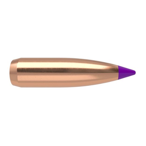 Picture of Nosler Bullets 6Mm .243 80Gr Ballistic Tip 100Ct