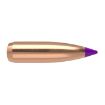 Picture of Nosler Bullets 6Mm .243 80Gr Ballistic Tip 100Ct