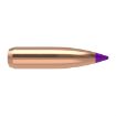 Picture of Nosler Bullets 6Mm .243 90Gr Ballistic Tip 50Ct