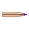 Picture of Nosler Bullets 6Mm .243 95Gr Ballistic Tip 50Ct