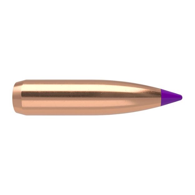 Picture of Nosler Bullets 6Mm .243 95Gr Ballistic Tip 50Ct