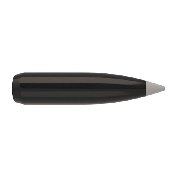 Picture of Nosler Bullets 6Mm .243 95Gr Ballistic Silver Tip 50Ct