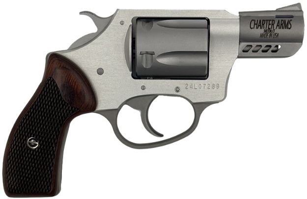 Picture of Charter Arms Coyote 2" 380 Acp Ported Anodized/Stainless