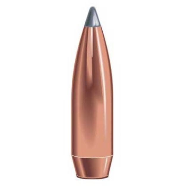 Picture of 30 Caliber (0.308'') 180Gr Soft Point 100/Box