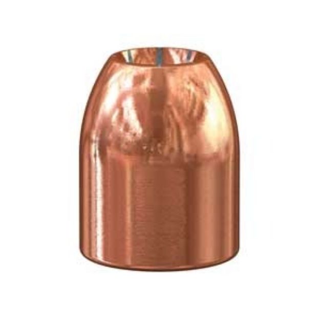 Picture of 50 Caliber (0.500'') 300Gr Hollow Point 50/Box