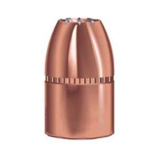 Picture of 45 Caliber (0.452'') 300Gr Hollow Point 50/Box