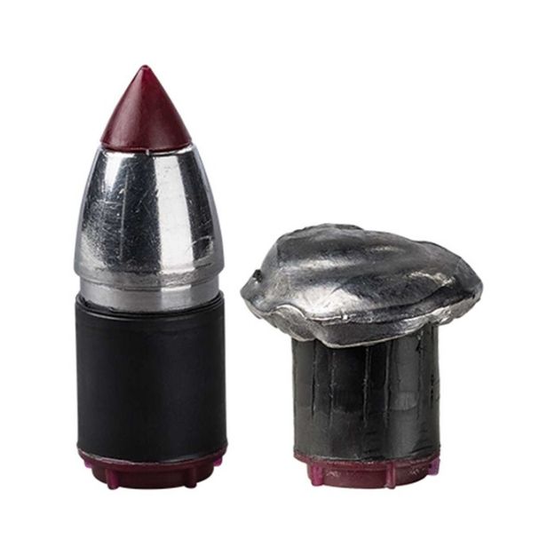 Picture of 50 Caliber 350Gr Lead Tipped Bullets 15/Pack