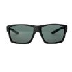 Picture of Explorer Matte Black Frame Gray/Green Lens