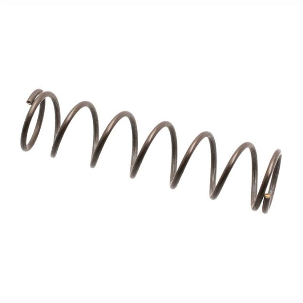 Picture of Ar-15 Magazine Catch Sping