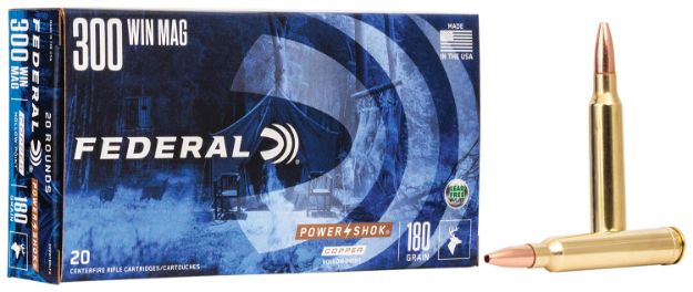 Picture of 300 Winchester Magnum 180Gr Copper Hp 20/Box