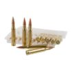 Picture of FED AM EAGLE 3006 150GR FMJBT 20/500