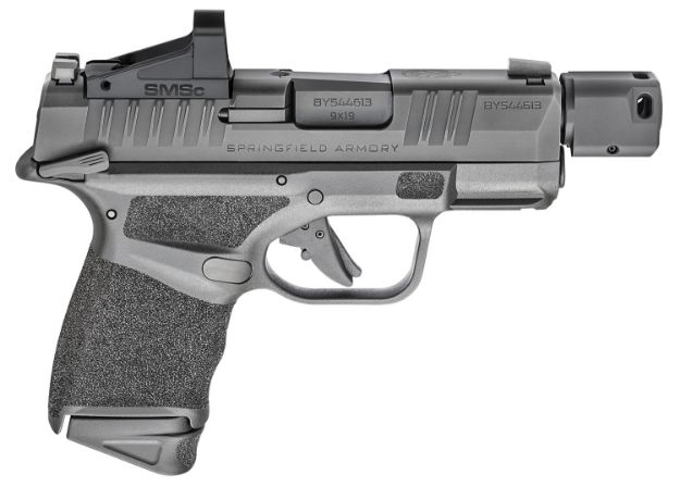 Picture of Hellcat Rdp 9Mm Bk Smsc Ns Ms#