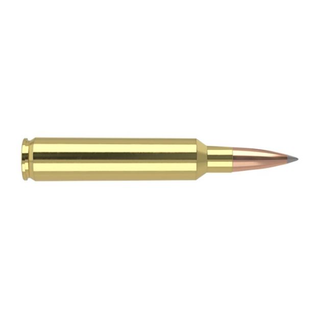 Picture of NOSLER 30NOS 210GR ABLR 20/200