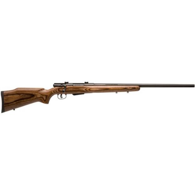 Picture of Savage 25Lw Varminter 17Hornet 24" Accu Tgr Blue/Brn Laminate