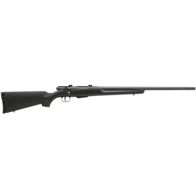 Picture of Savage 25 Walking Varminter 17Hornt 22" Acu-Tgr Bl/Blk Syn