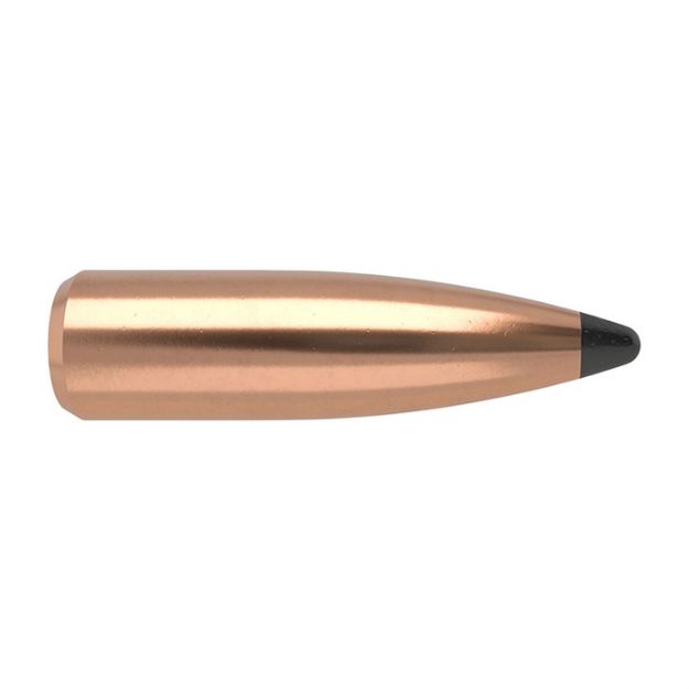 Picture of Nosler Bullets 30 Cal .308 165Gr Partition 50Ct