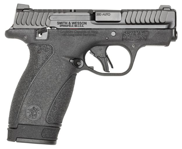 Picture of S&W BODYGRD 2.0 13926 380 2.75 TS 10/12R BLK