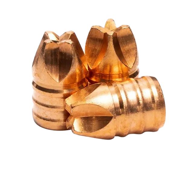 Picture of 44 Caliber (0.429'') 160Gr Xtreme Defense Ftm 50/Box