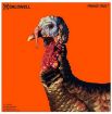 Picture of Caldwell Orange Peel Turkey Target 12" 5-Pack