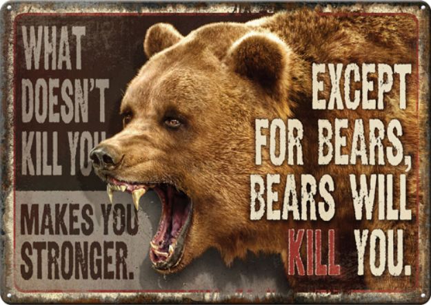 Picture of Rivers Edge Sign 12"X17" "What Doesn't Kill You"